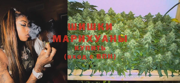 молекула духа Козловка