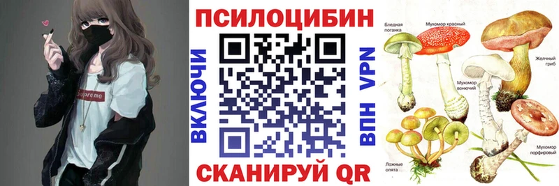 Псилоцибиновые грибы мицелий  Лесозаводск 