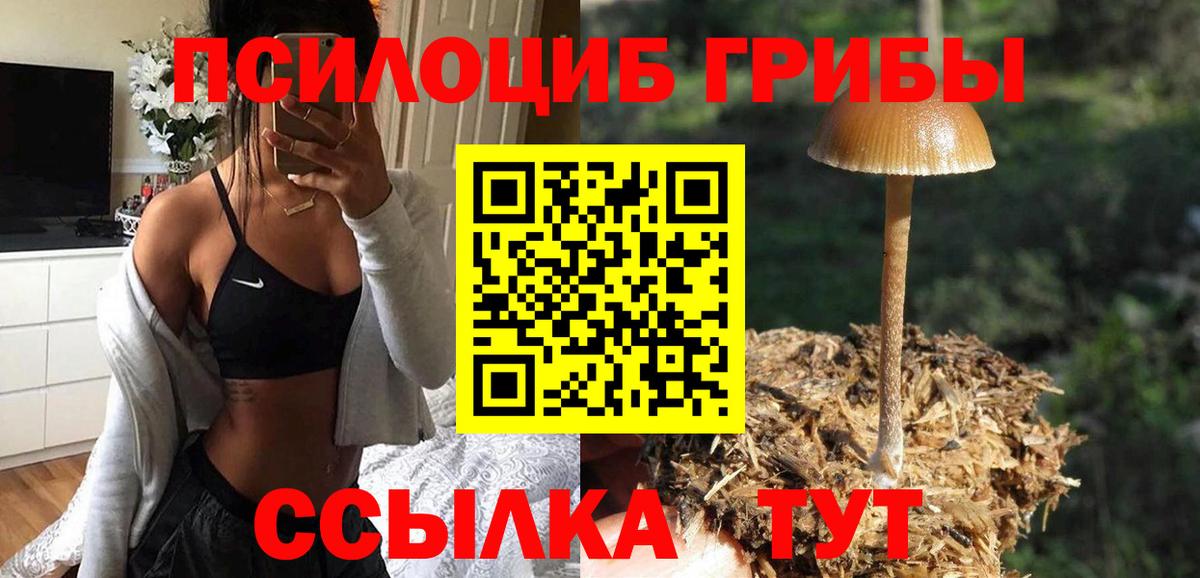 Галлюциногенные грибы прущие грибы  сколько стоит  Лесозаводск  Вход с VPN 