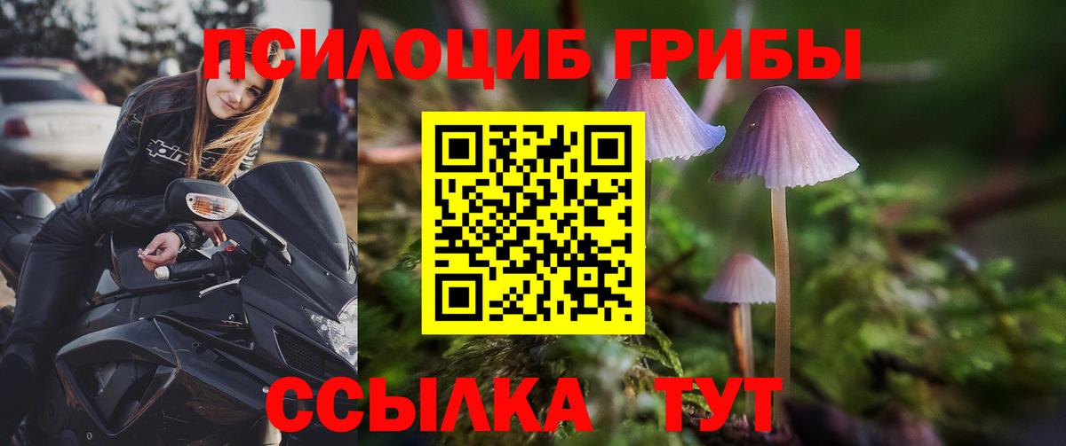 Псилоцибиновые грибы мухоморы Лесозаводск